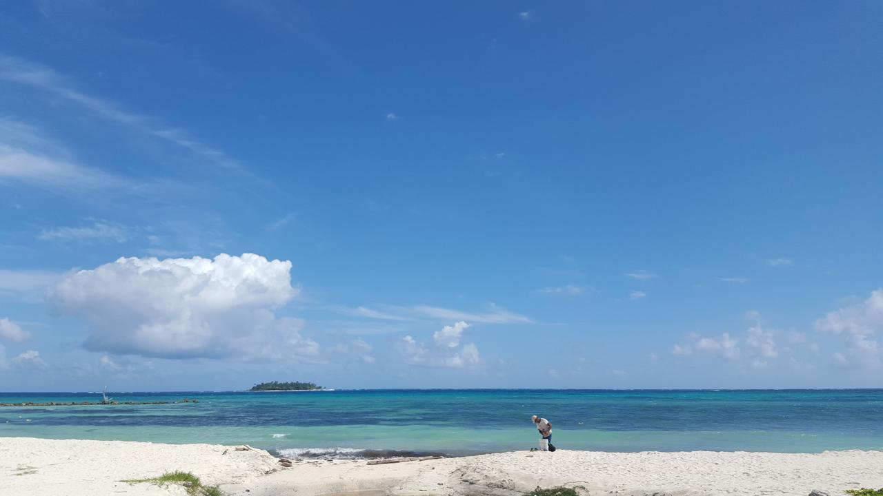 Islander's Blue House *